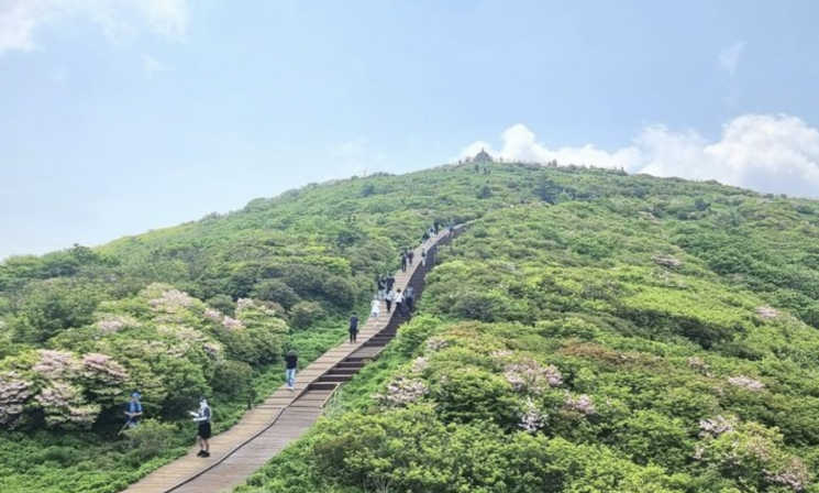 환경단체 “지리산 케이블카 계획 철회하라”
