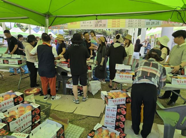 On the 2nd, the "Suncheon Premium 20th Woldeung Peach Experience Event" was held at the lawn square of Woldeung-myeon Administrative Welfare Center in Suncheon City, with about 1,000 attendees including tourists from across the country and local residents. Photo by Suncheon City
