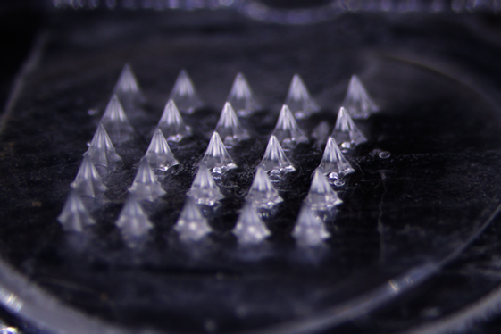 대웅 '마이크로니들', 흡수율 80%↑…"글로벌 최고 수준"