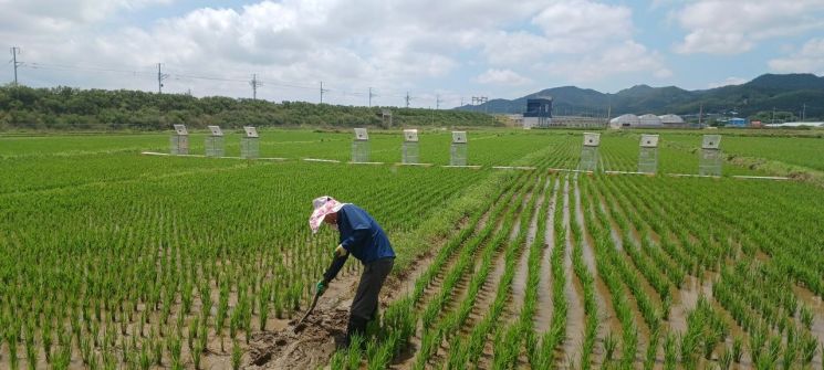 전남도, 저탄소농산물 인증면적 '전국 1위' 달성 청신호