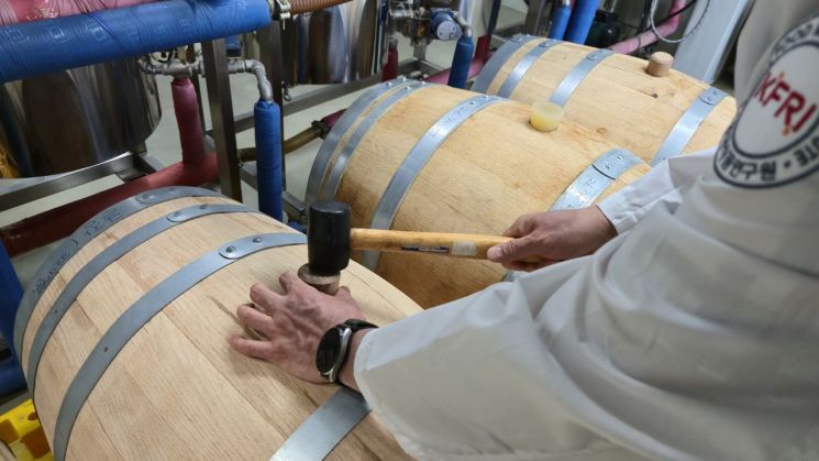 Taewan Kim, senior researcher at the Food Convergence Research Division of the Korea Food Research Institute, is checking the quality of whiskey aging in domestic oak barrels.