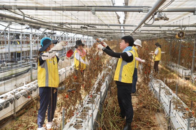 박광종 광주국세청장과 강병수 광산세무서장 등 자원봉사단 60여명은 14일 광산구 동산동 폭우 피해 농가를 찾아 복구활동을 전개했다. 광주국세청 제공