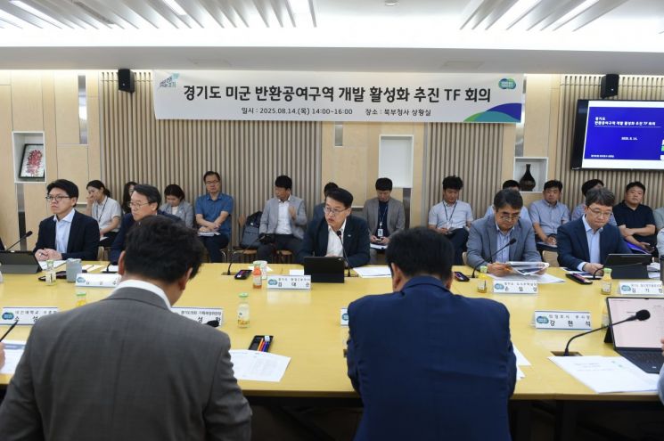 김대순 경기도 행정2부지사가 14일 경기도청 북부청사에서 '주한미군 반환공여구역 개발 활성화 전담조직(TF)' 제1차 회의를 개최하고 있다. 경기도 제공