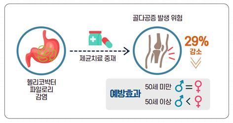 헬리코박터 파일로리 제균치료에 따른 골다공증 발생 예방 효과. 질병관리청