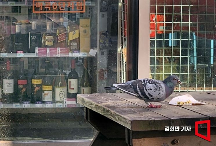 [이미지 다이어리] 술은 눈으로만...