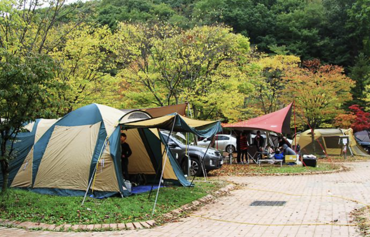 사진은 기사의 특정 내용과 관련 없음. 고캠핑 홈페이지