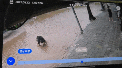 배수구 4개 뚫고 15분 만에 도로 정상화…인천 '고무장갑 의인'