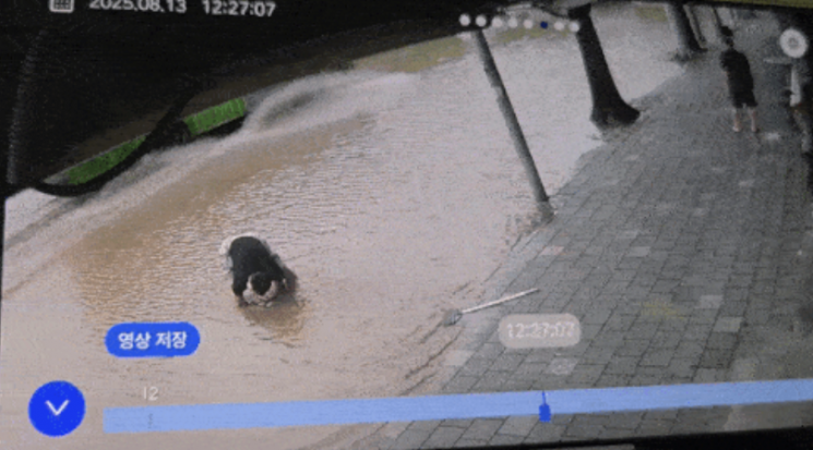 배수구 4개 뚫고 15분 만에 도로 정상화…인천 '고무장갑 의인'