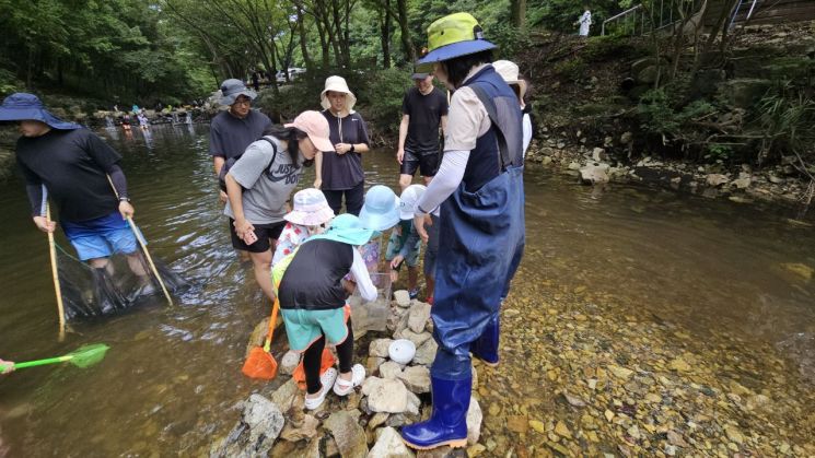 "금산산림문화타운 청정계곡에서 더위 식혀요"