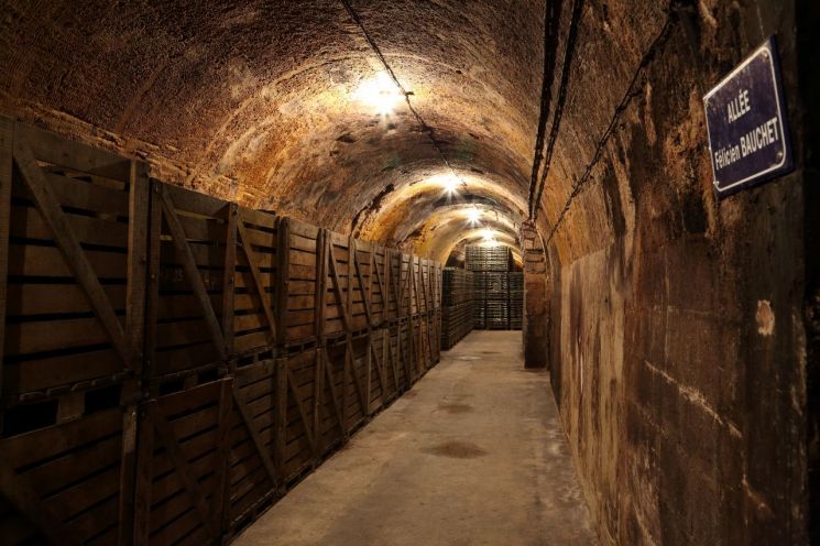 '도멘 보셰(Domaine Bauchet Champagne)'의 지하셀러 전경.