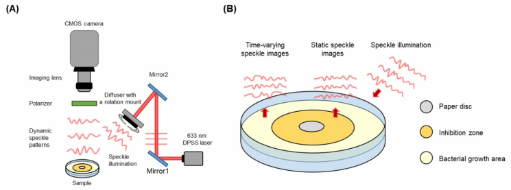 아주대 연구진, 빛 산란 기반 항생제 진단기술 개발