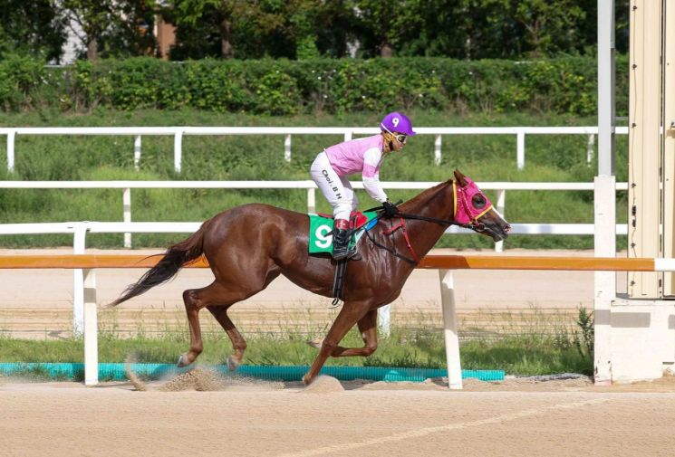 ‘치프스타·와일드파크’ 루키스테이크스 제패… 국산 2세 신예마 두각