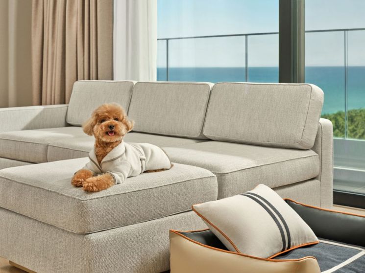 신라모노그램 강릉, 반려견 동반 객실 전용 패키지 출시