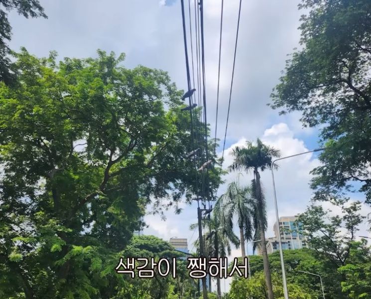 갤럭시를 쓰는 이유. '히지노'가 올린 '갤럭시를 쓰는 친구들에게' 유튜브 캡처.