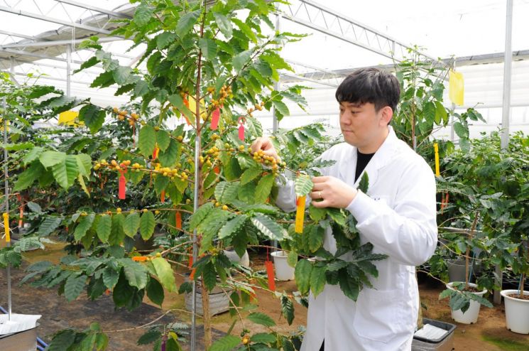 국제농업박람회서 전남 커피 산업 가능성 두드린다