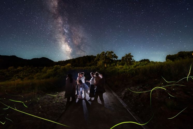 영양군, '별빛 반딧불이 체험 축제' 개최