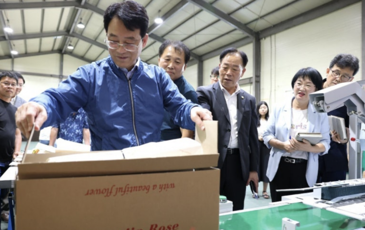 강진원 강진군수가 장미 직거래 포장 자동화 장비 ‘제함기’ 시연회에서 박스 포장 과정을 살펴보고 있다. 강진군 제공