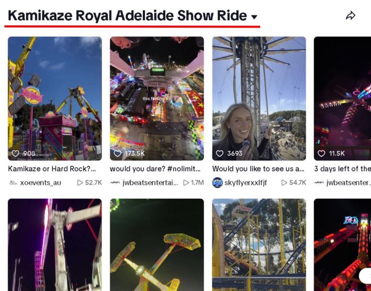 외국 식당·공원·기업 이름에 '가미카제'…"뜻 알면 못쓸텐데"