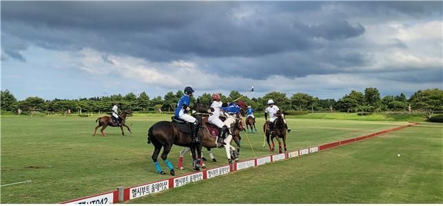 South Korea and Indonesia National Polo Teams Hold Friendly Match in Jeju Island