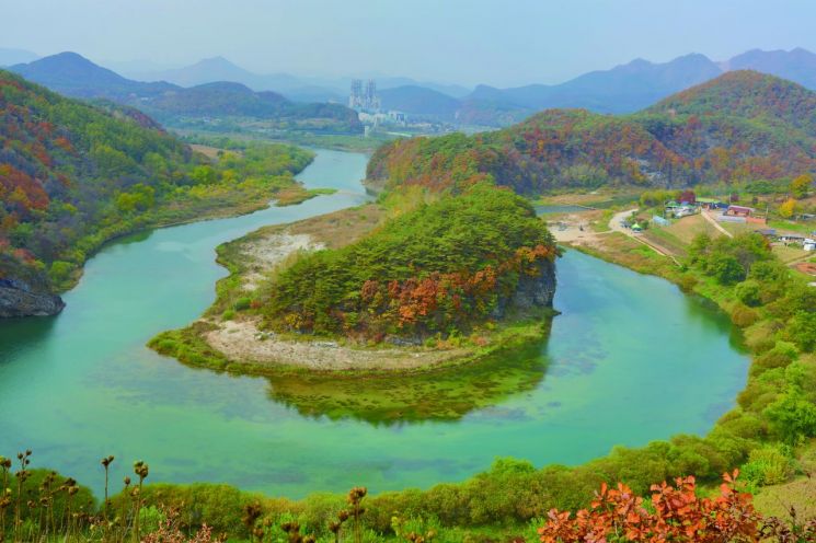 영월 한반도습지의 모습(사진=국립생태원)