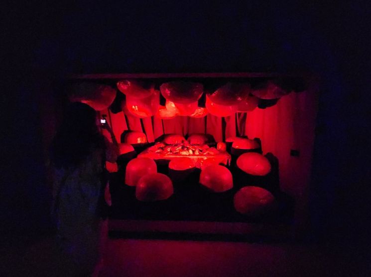 버려질 것에 대한 두려움을 예술로 승화...루이즈 부르주아 '덧없고 영원한'展