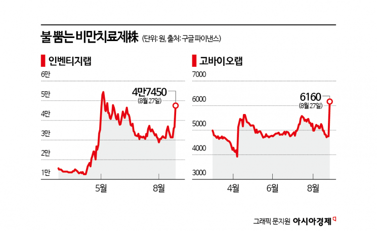 횡보장에도 '신바람'…비만치료株, 글로벌 활로에 '上'