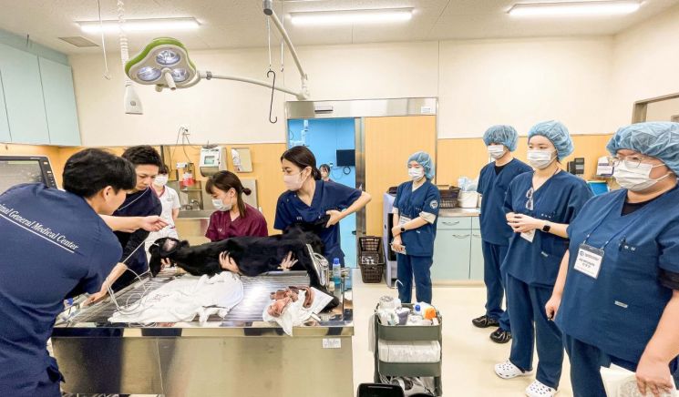 영진전문대 동물보건과, 개강 첫날부터 일본 현장학습…"전공역량 넓히는 뜻깊은 시간"