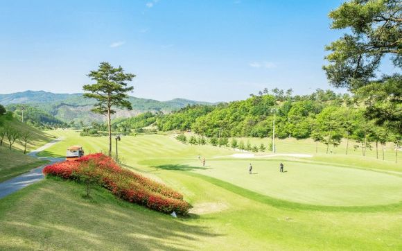 국내 골프장, 왜 영업 이익 급감했나