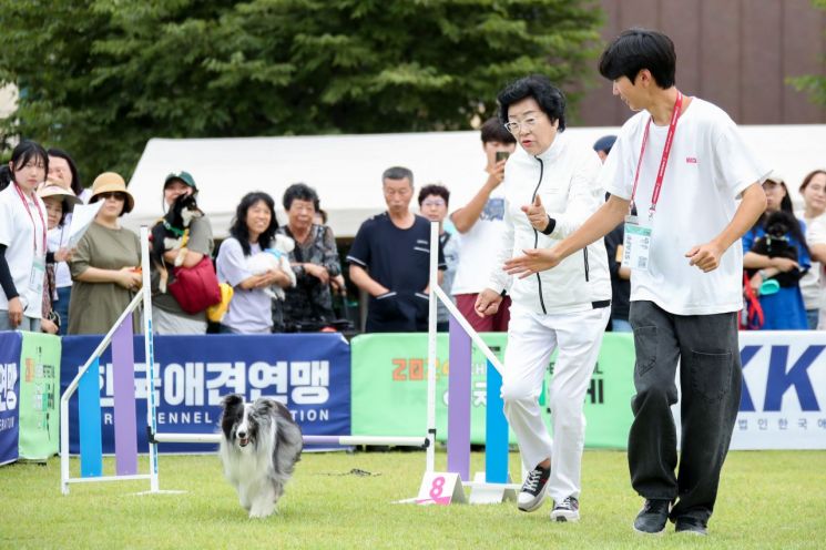 '제3회 이천펫축제' 13~14일 이천도자예술마을서 열린다