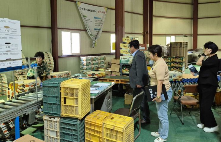 조상래 곡성군수, 수출 배 선별장 방문…농업인 격려