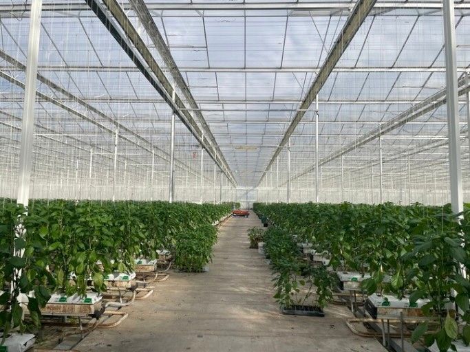 남원시, '청년창업 스마트팜 패키지 지원사업' 신청