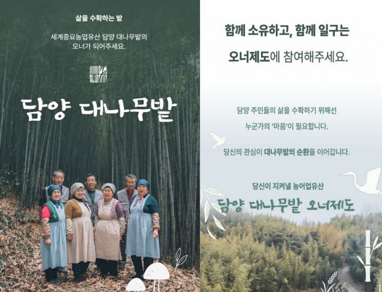 담양군 "세계유산 '대나무밭' 오너가 돼주세요"