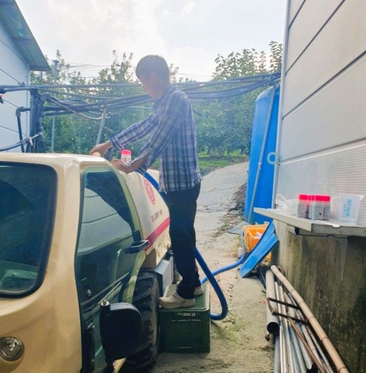 장성군은 과수 탄저병을 예방하기 위해 긴급 약제 지원에 나선다. 장성군 제공