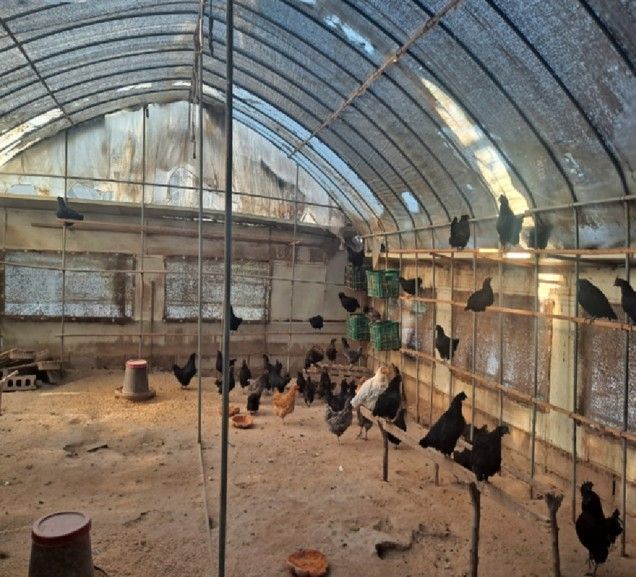 여주시, 무허가·미등록 축사 자진신고 기간 운영