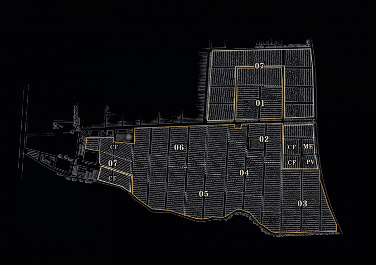 [아경와인셀라]칠레가 품은 '위대한 유산'…'신의 물방울' 새 기준