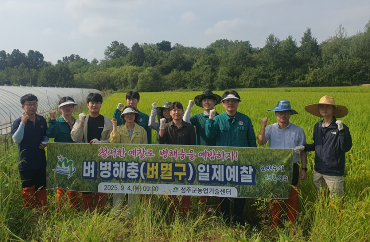 성주군, 고온 지속으로 벼멸구 피해지 일제예찰 실시…9월 중순까지 더위이어져 확산 우려