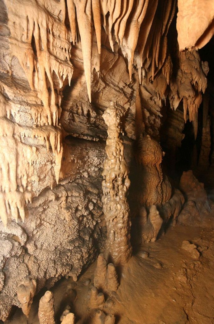 대학 동아리 회원들 '천연동굴 지킴이' 된다