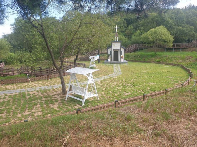 영덕 블루로드, 편백 힐링 스팟 ‘기도의 방’ 조성… 쉼·회복 공간 제공