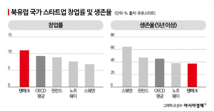 "You Learn by Failing"... The Reason Behind Denmark's Low Startup Survival Rate