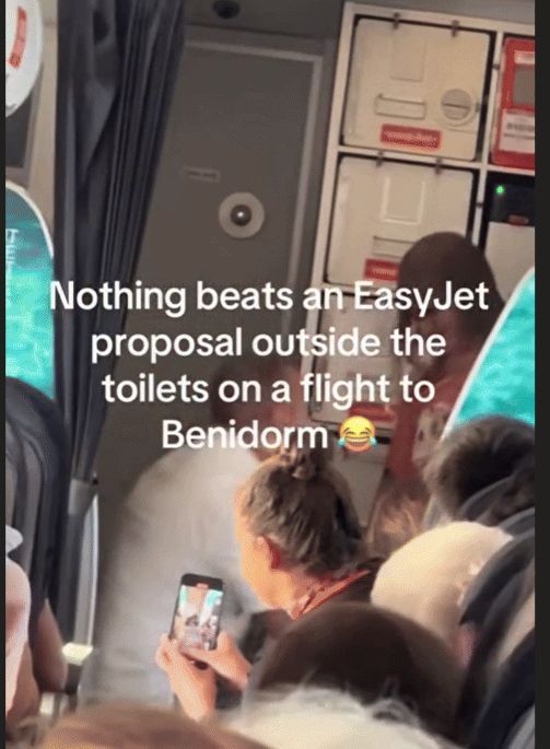 The airplane proports that became a hot topic. Screenshot from Daily Mail.