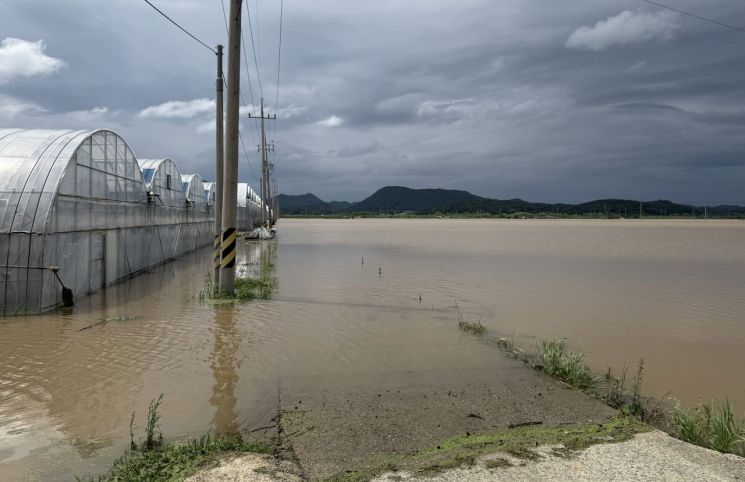 폭우 피해로 침수 피해를 입은 나주 동강면 벼 및 딸기하우스 현장. 전남도 제공