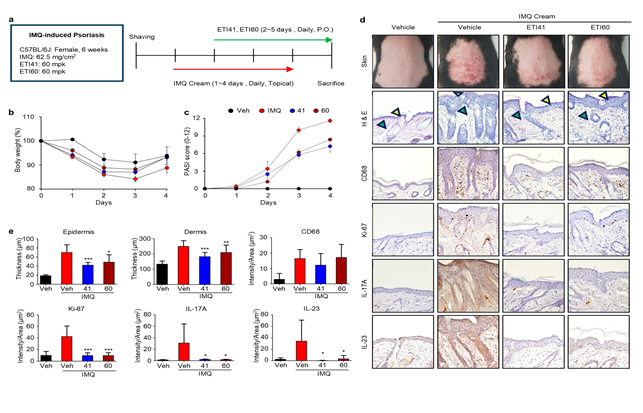 아주대 연구팀, 자가면역질환 치료제 개발 성과 - 뉴스 썸네일 이미지