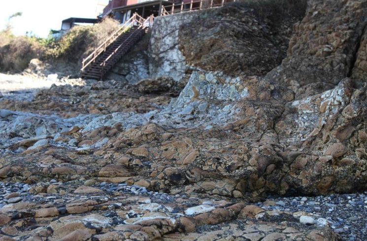 8700만 년 전 화산암·페퍼라이트 천연기념물로