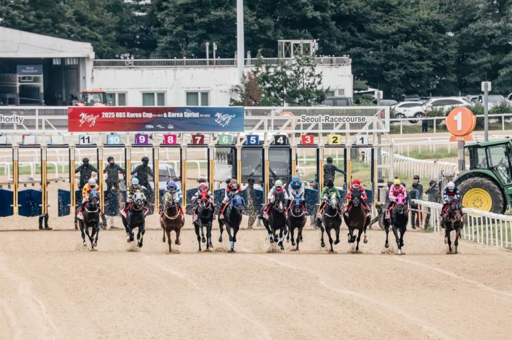 "Thrilling 0.1-Second Overtake"…28,000 Spectators Electrified by the 'Korea Cup'