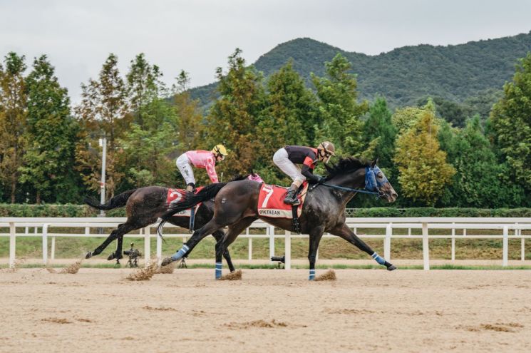 "Thrilling 0.1-Second Overtake"…28,000 Spectators Electrified by the 'Korea Cup'