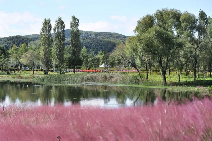 지난해 가을 열린 꽃 페스타 모습. 가평군 제공