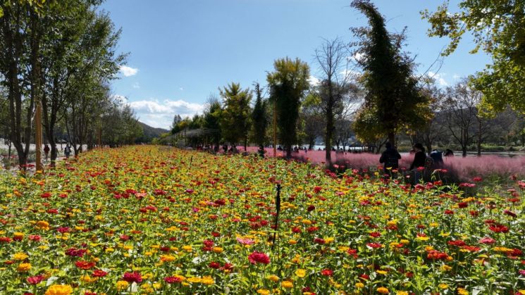 지난해 가을 열린 꽃 페스타 모습. 가평군 제공