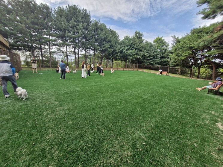 Goyang City Reopens Jeongbalsan Dog Playground... Now Open 24 Hours