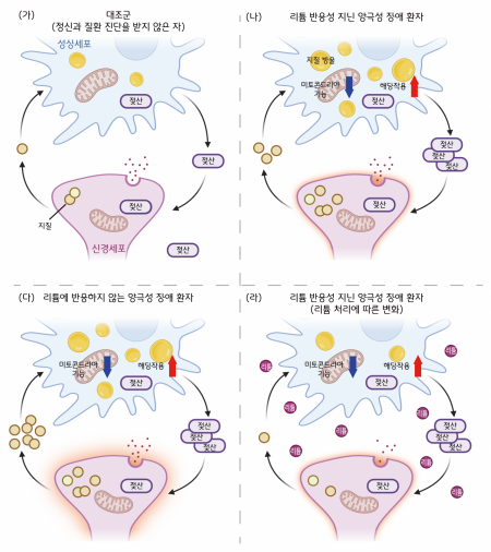 KAIST: Possibility of 'Personalized' Treatment for Bipolar Disorder Patients... Clues Found in Astrocytes