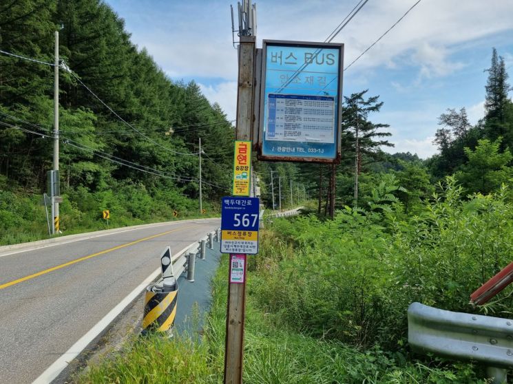 강릉시, 푯말형 버스승강장에 버스정보시스템(BIS) 안내 표지 부착. 강릉시 제공